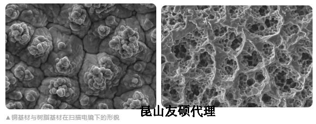 济南蔡司济南扫描电镜